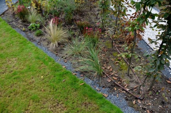 LOW MAINTENANCE GARDEN BORDER IDEAS
